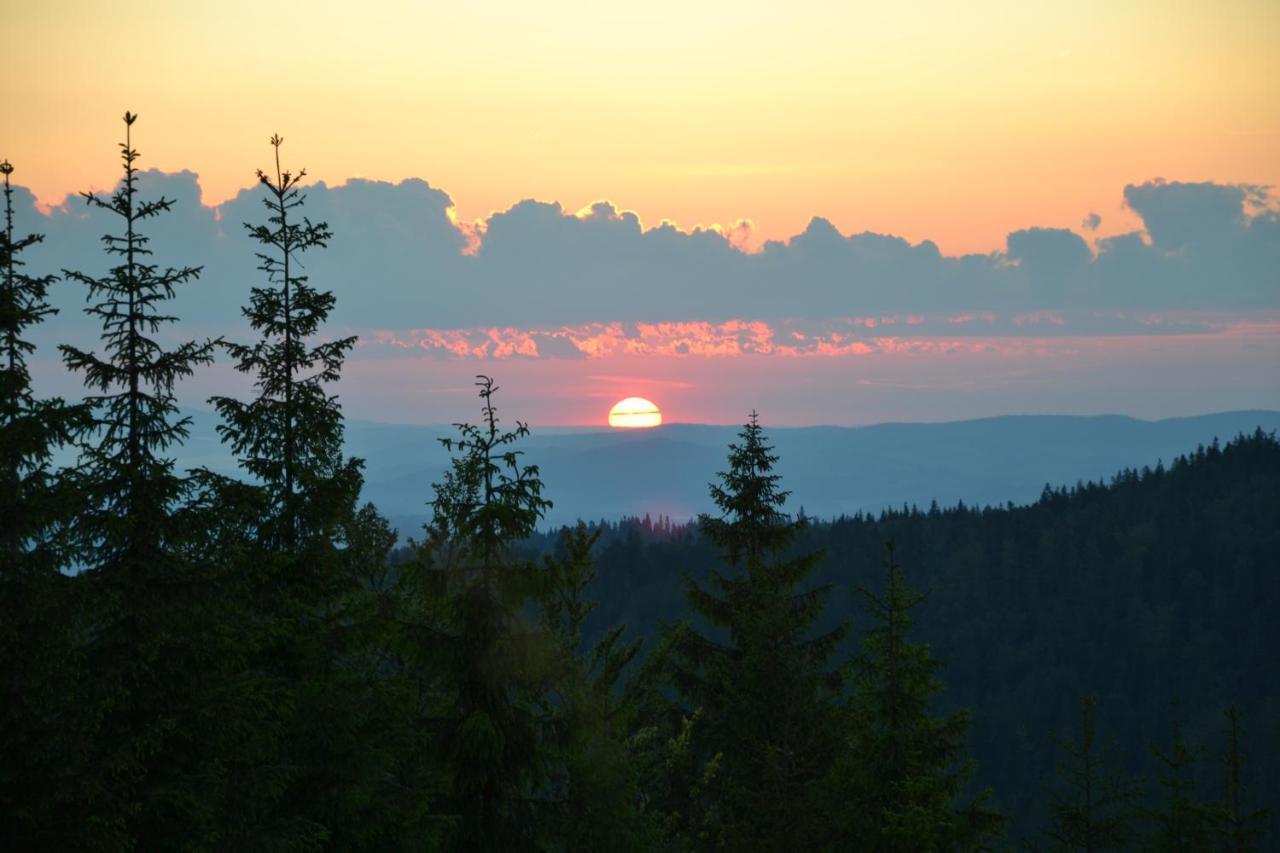 Willa Nad Dunajcem Nowy Targ Kamer foto